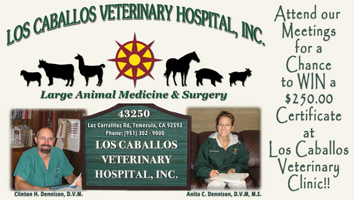 Los Caballeros Veterinary Hospital