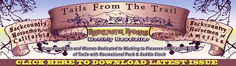 Current Newsletter